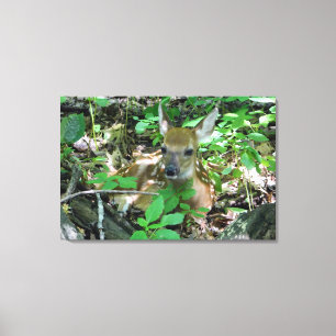 Toile Papier blanc peint par le cerf