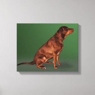 Toile Papier de canne Labrador Retriever Dog