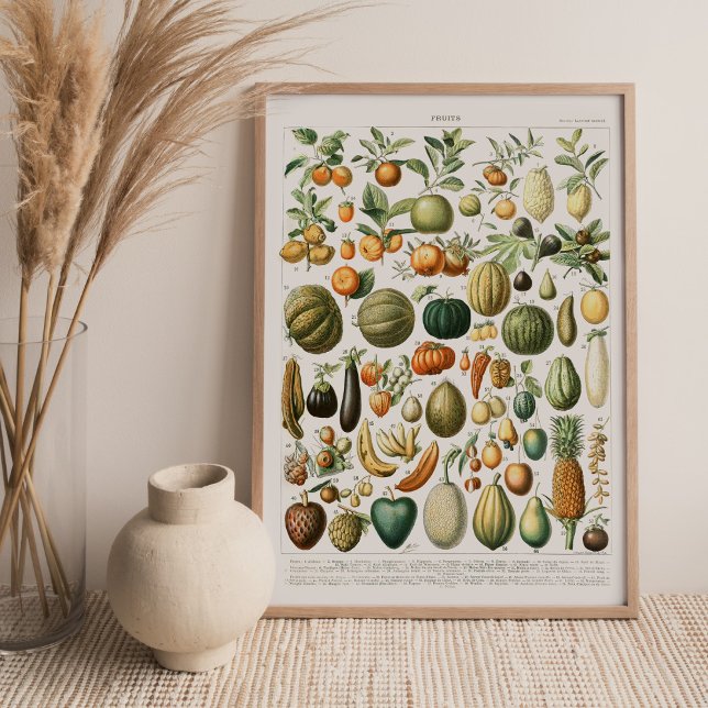 Toile Papier de Fruits de Millot d'Adolphe (Créateur téléchargé)