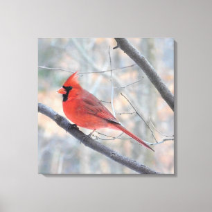 Toile Papier Enveloppé Cardinal Rouge Nord Imprimer