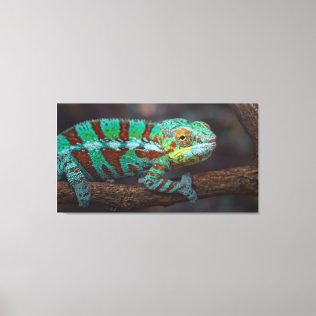 Toile Papier Panther Chameleon (Recto)