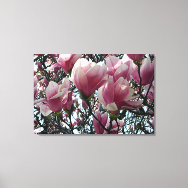 Toile Papier rose "Tulip Tree" Blossoms Enveloppé (Recto)