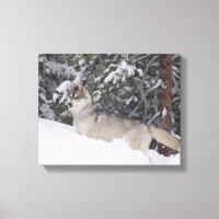 Papier Sibérien Husky