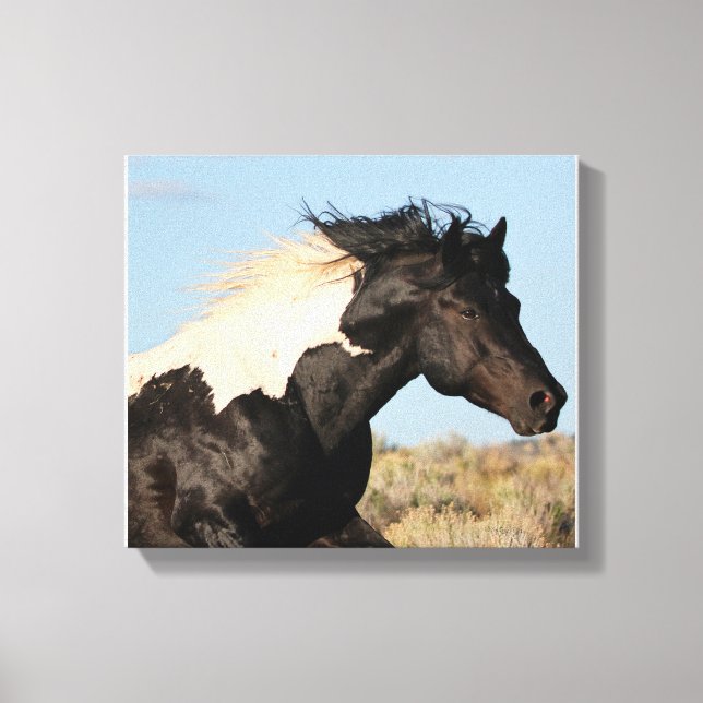 Toile Papier Stallion sauvage (Recto)