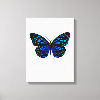 Toile papillon