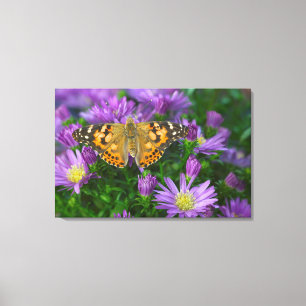 Toile Papillon à ailes angulaires sur fleur conique