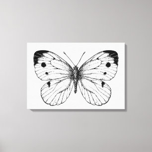 Toile Papillon à chou