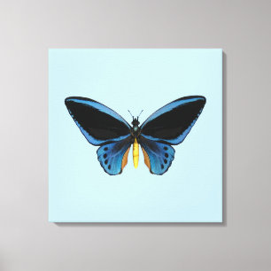Toile Papillon Birdwing