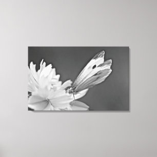 Toile Papillon Chou sur Cosmos en noir et blanc