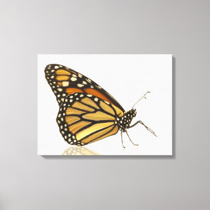 Toile Papillon de monarque