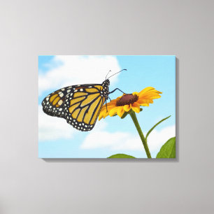 Toile Papillon de monarque sur une Susan observée par