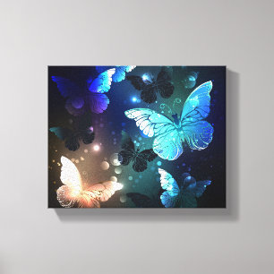 Toile Papillon de nuit