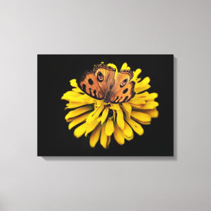 Toile Papillon et fleur jaune
