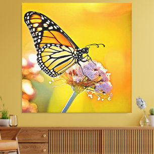 Toile Papillon Majestic Gros plan