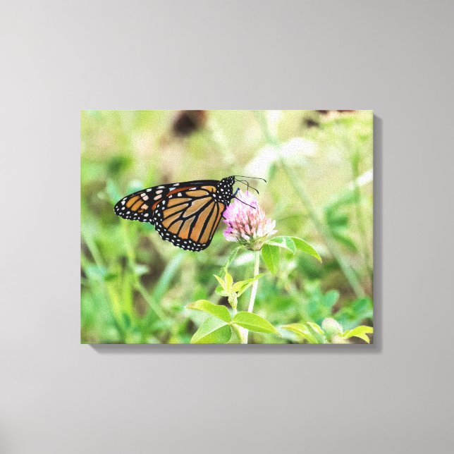 Toile Papillon Monarque (Recto)