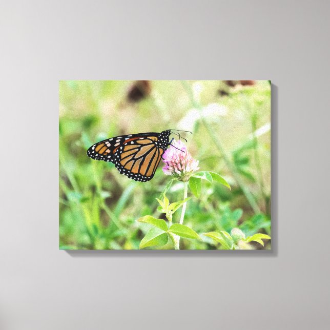 Toile Papillon Monarque (Recto)