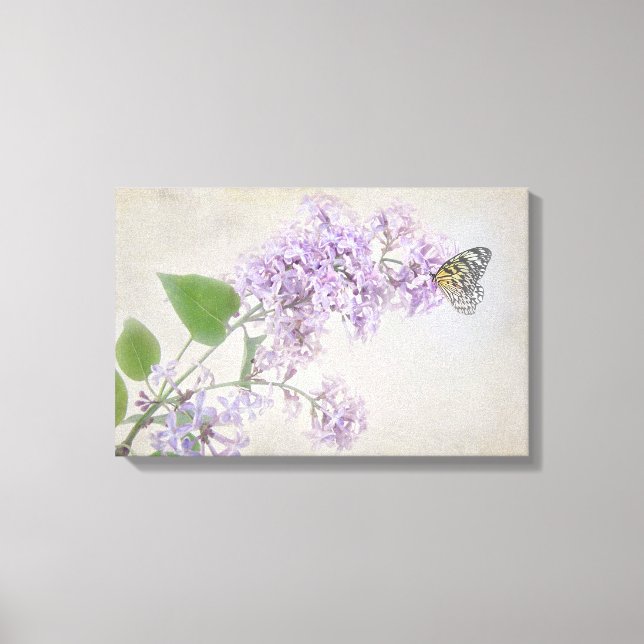 Toile papillon sur la fleur lilas (Recto)