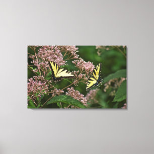 Toile Papillons de machaon de tigre sur l'mauvaise herbe