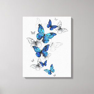 Toile Papillons volants bleus Morpho