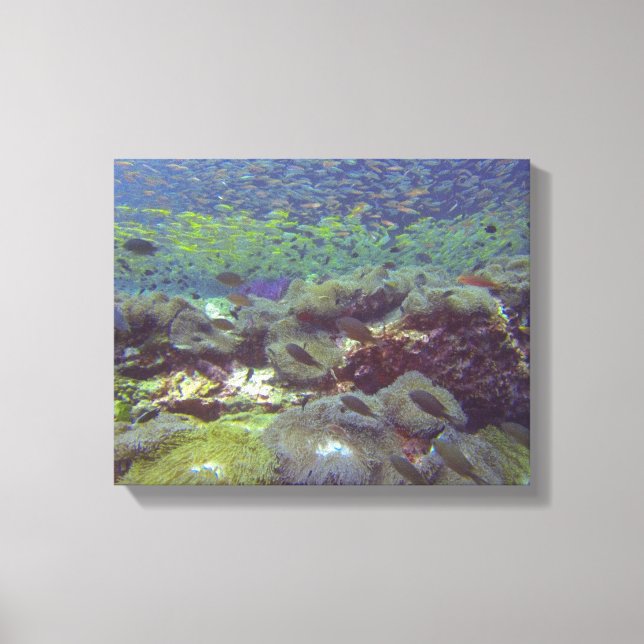 Toile Paradis sous-marin Similan Islands Thaïlande (Recto)