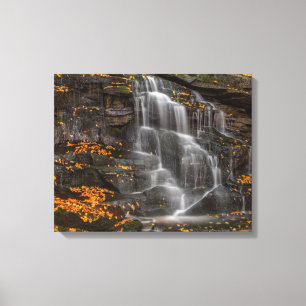 Toile Parc d'État de Blackwater Falls