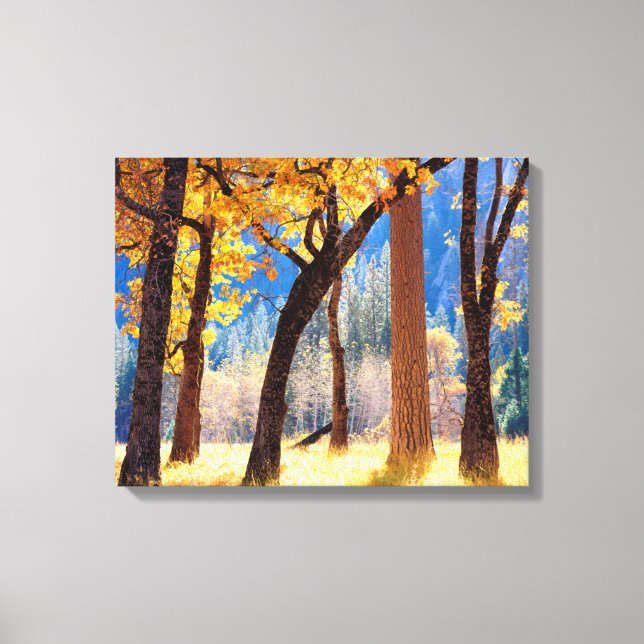 Toile Parc national de Yosemite (Recto)