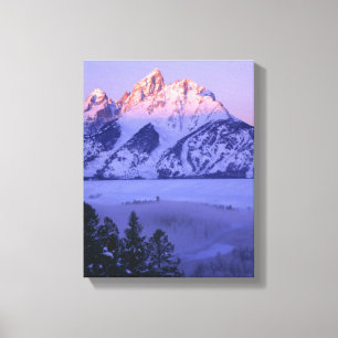 Toile PARC NATIONAL GRAND TETON, WYOMING. ÉTATS-UNIS. Br
