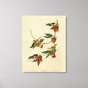 Toile Paruline à rathbone (jaune) Audubon Birds of Ameri