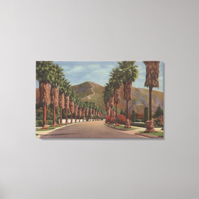 Toile Pasadena, CA - Scène de rue résidentielle & Palms (Recto)
