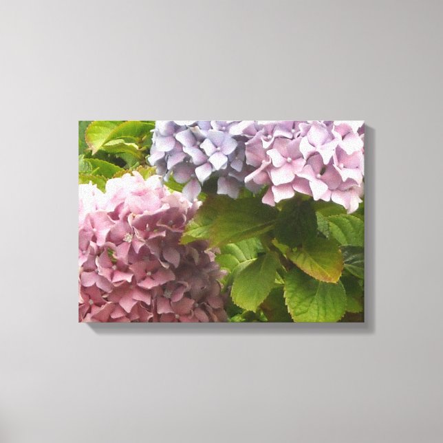 Toile Pastel Hydrangeas (Recto)