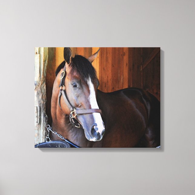 Toile Patriote américain (Recto)