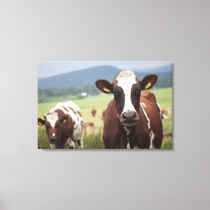 Toile Pâturage des vaches