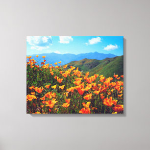 Toile Pavots de Californie Couvrant un Versant