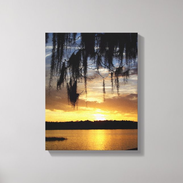 Toile Paynes Prairie Floride coucher de soleil (Recto)