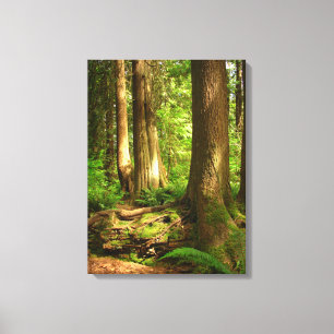 Toile Paysage canadien Art forestier de la côte ouest Im
