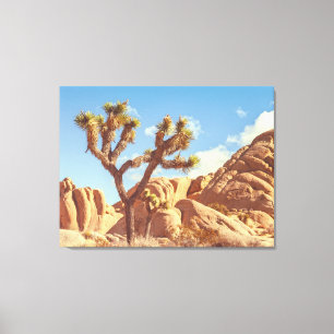 Toile Paysage d'arbres de Joshua avec formations rocheus