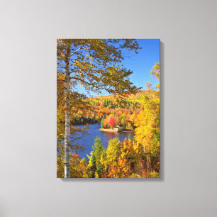 Toile Paysage d'arbres en automne, Maine