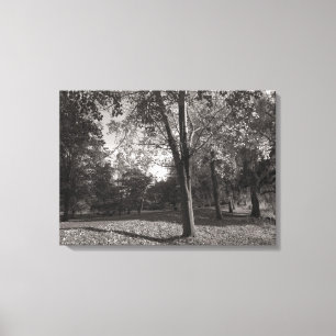 Toile Paysage d'automne, Bute Park, Cardiff