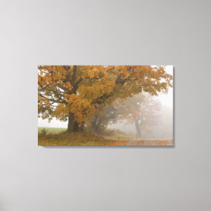 Toile Paysage d'automne, Vermont, États-Unis 4