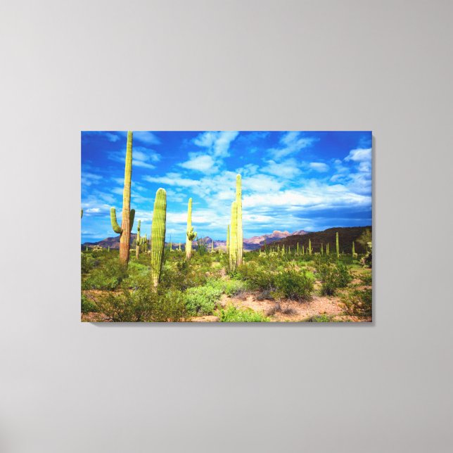 Toile Paysage de cactus du désert, Arizona (Recto)
