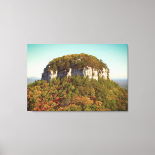 Toile Paysage de montagne magnifique