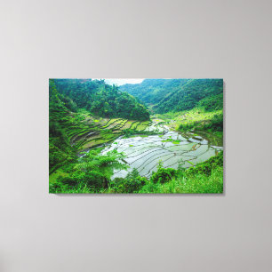 Toile Paysage de rizières, Philippines