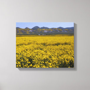 Toile Paysage de terrain Fleur sauvage jaune