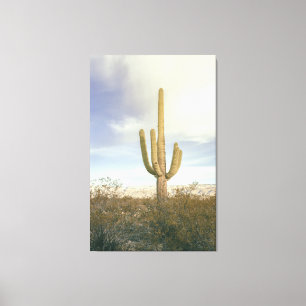 Toile Paysage du désert du Saguaro Cactus