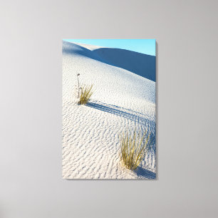 Toile Paysage du Parc national de White Sands