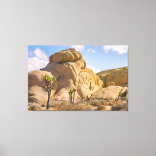 Toile Paysage du parc national Joshua Trees