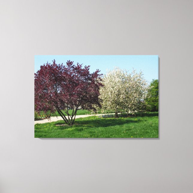 Toile Paysage magnifique et arbres (Recto)