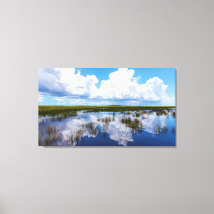 Toile Paysage naturel des Everglades