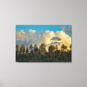 TOILE PAYSAGE OCCIDENTAL