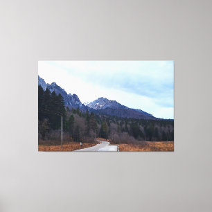 Toile Paysage Scénique de la Route Forestière Nature Sau